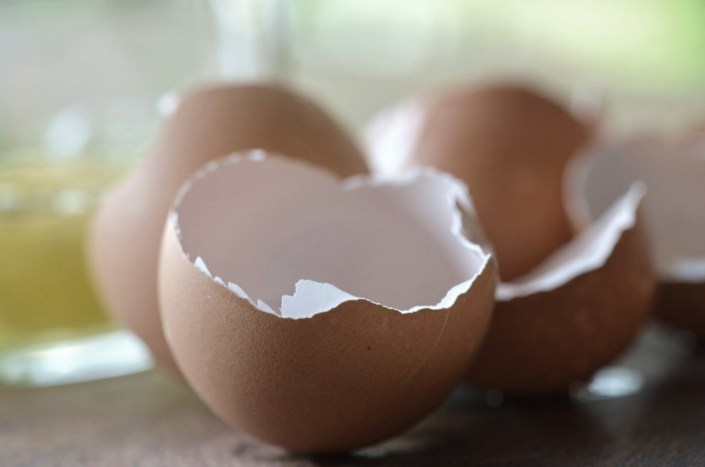 Egg-Shells